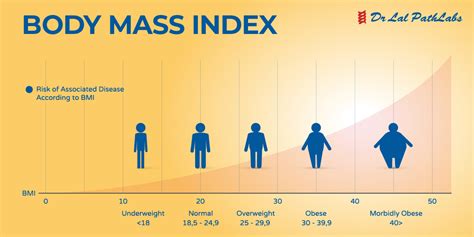 body mass index quizlet|calculating bmi practice problems.